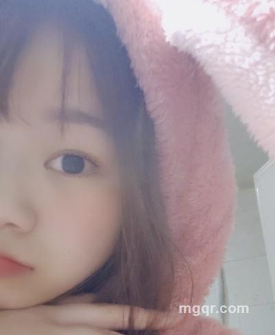小仓鼠