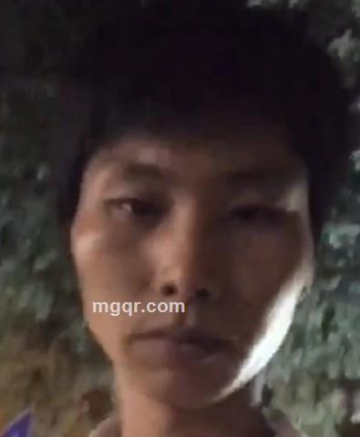 大鸟给你的头像