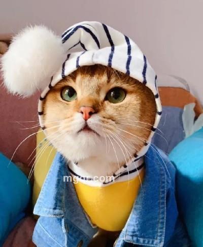 真誠最高的头像