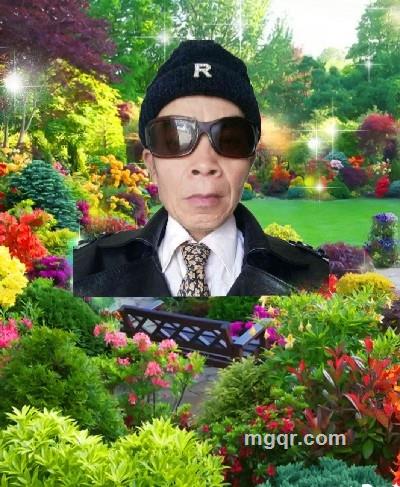 会员5310640的头像