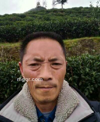 用灵魂生活的头像