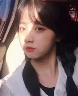 会员5313296的头像