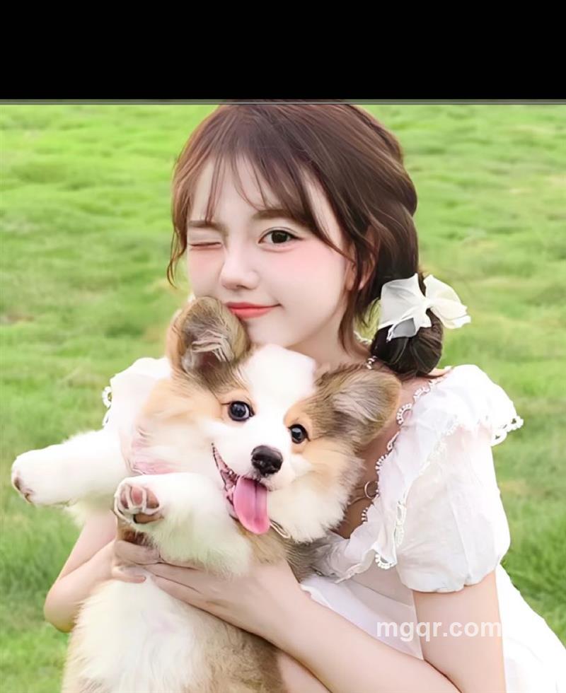 小宝贝的头像