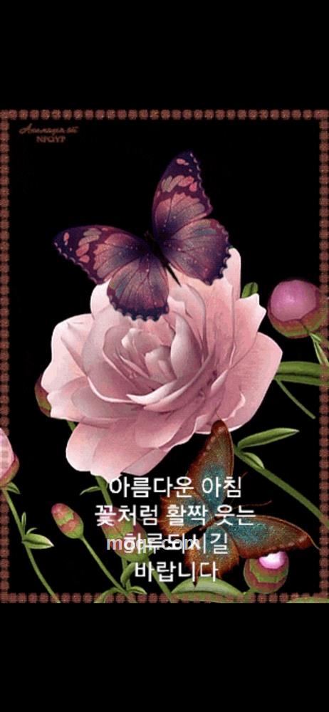 在路上很偶尔的头像