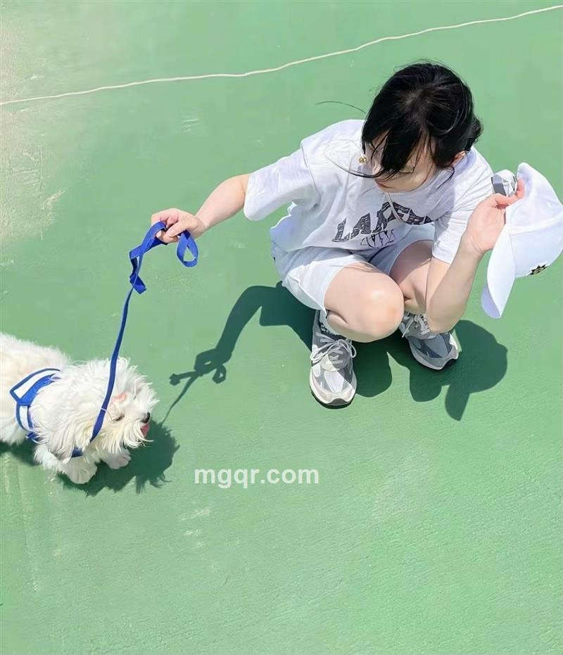 杨了个羊的头像
