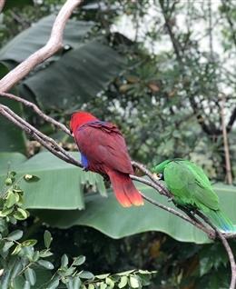 挪威森林的头像