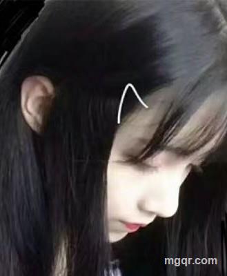 会员5309865的头像