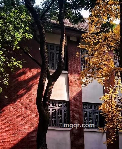 冬季之恋的头像