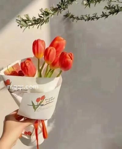 会员5321499的头像