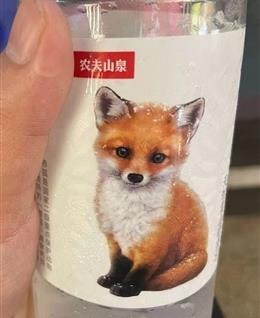 慧慧的头像