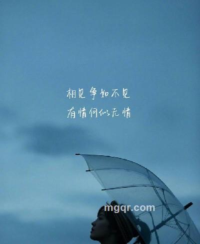 放汤不羁的生活