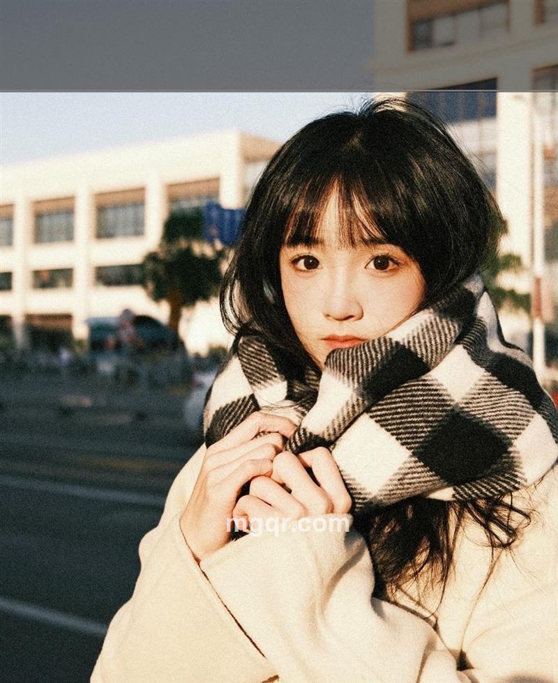 健忘老虎的头像