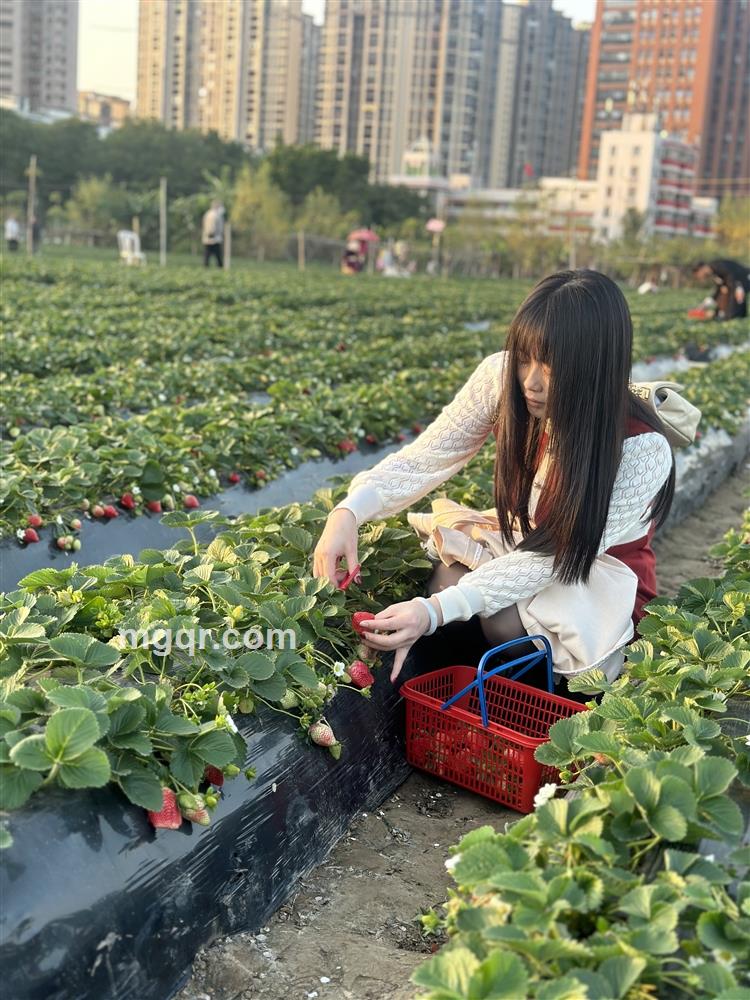 不可复制的青春