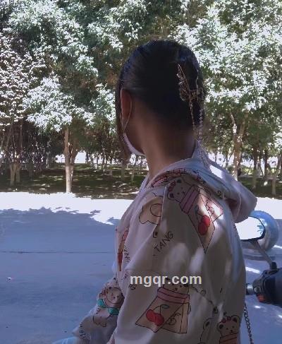 呆呆的头像