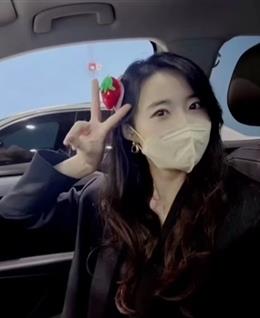 泡芙小姐的头像