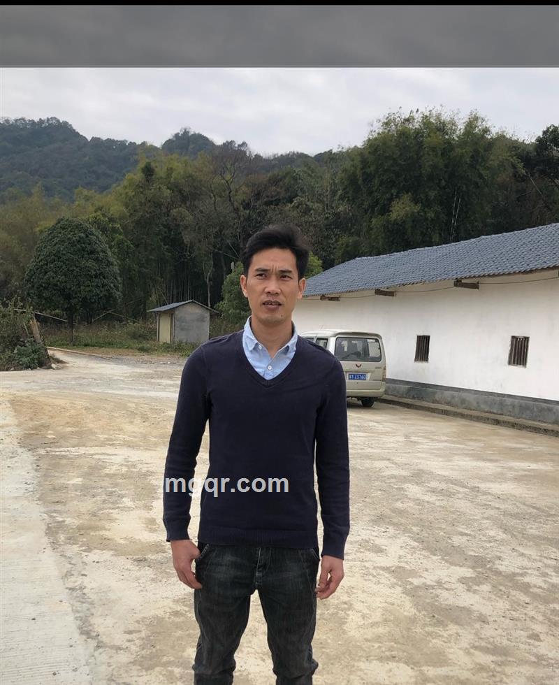 默然的头像