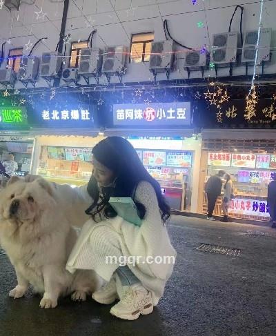 珠珠的头像