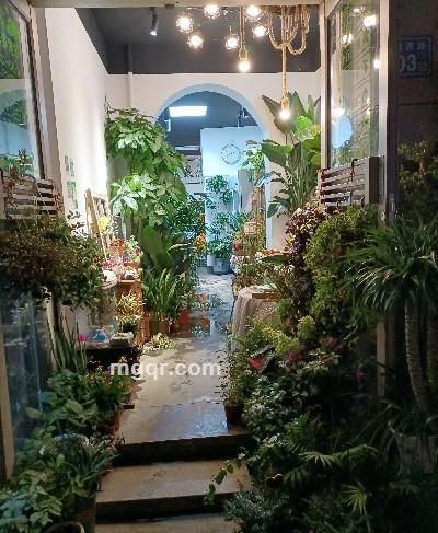 会员5360889的头像