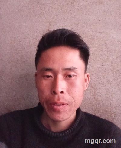 随风四机的头像