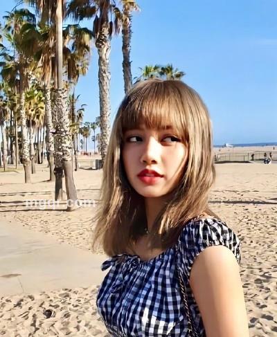 迷路猫咪的头像