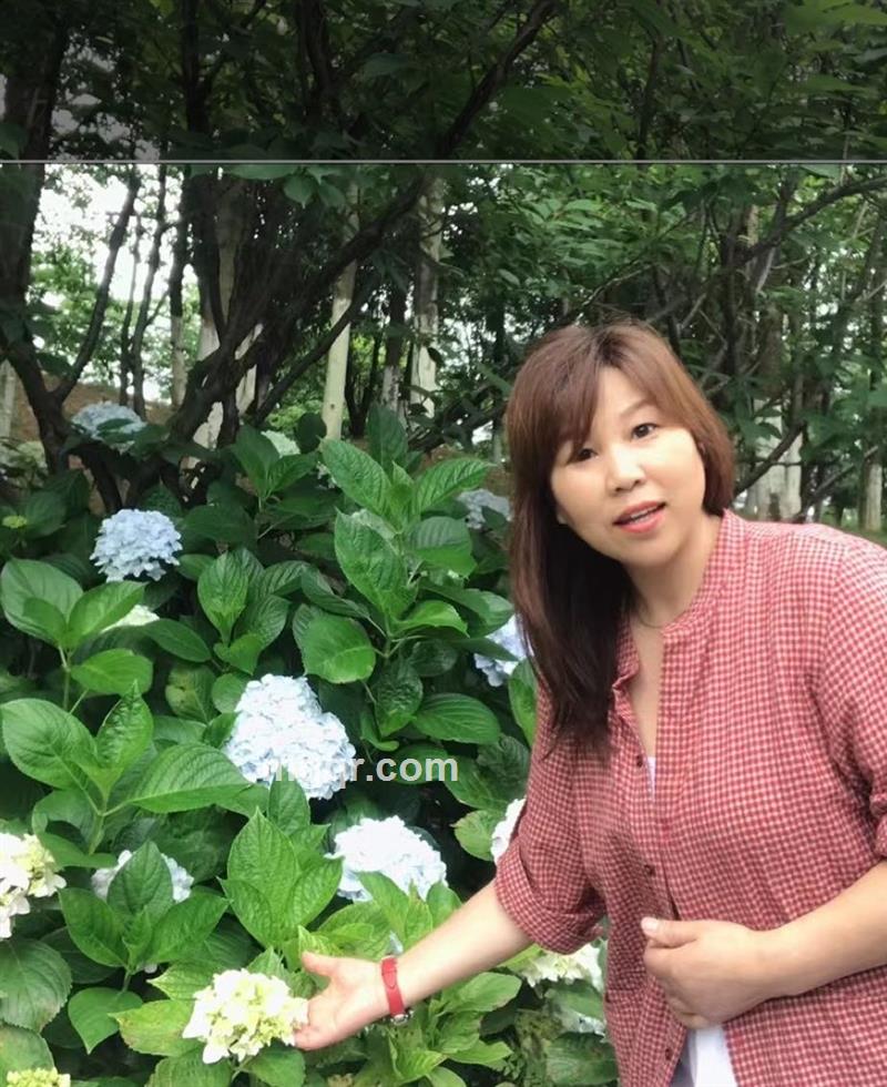 雅晴的头像