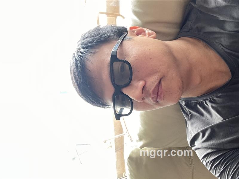 飞翔的狮子