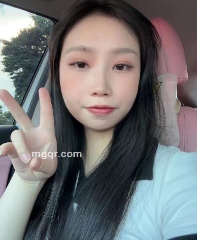 巷子里的猫