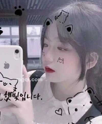 小鹿的头像