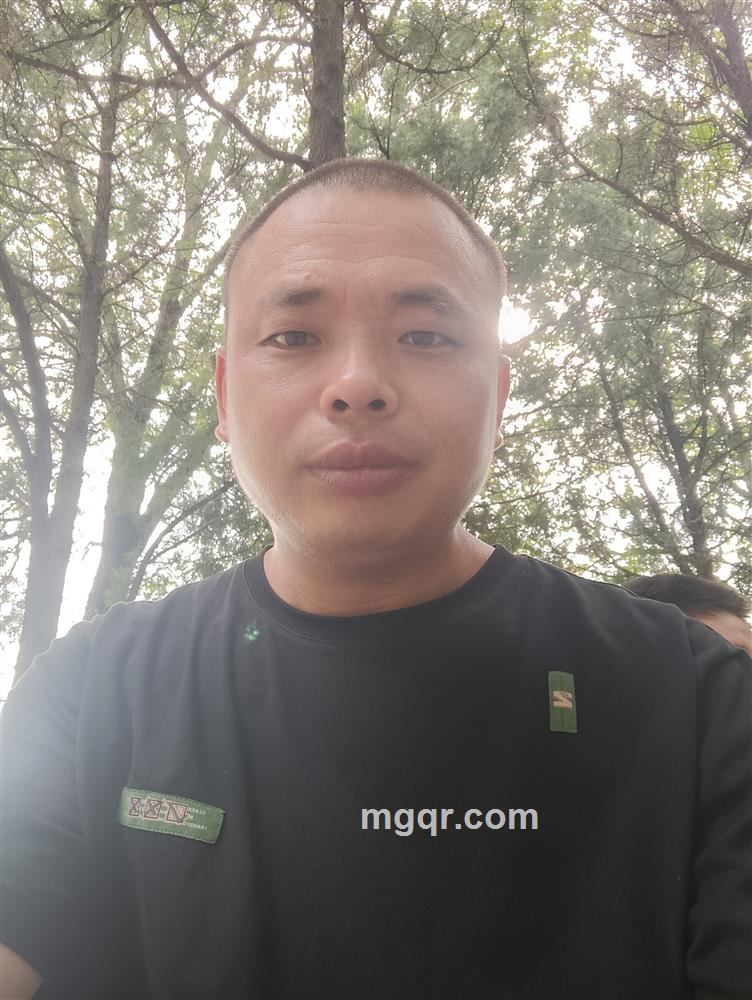 阳光520的头像
