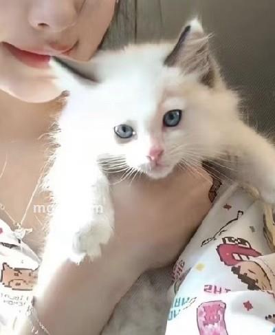 悠悠的头像