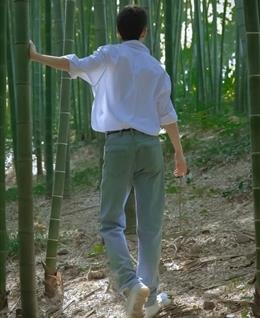繁杂的头像