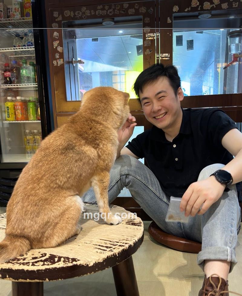坚的头像