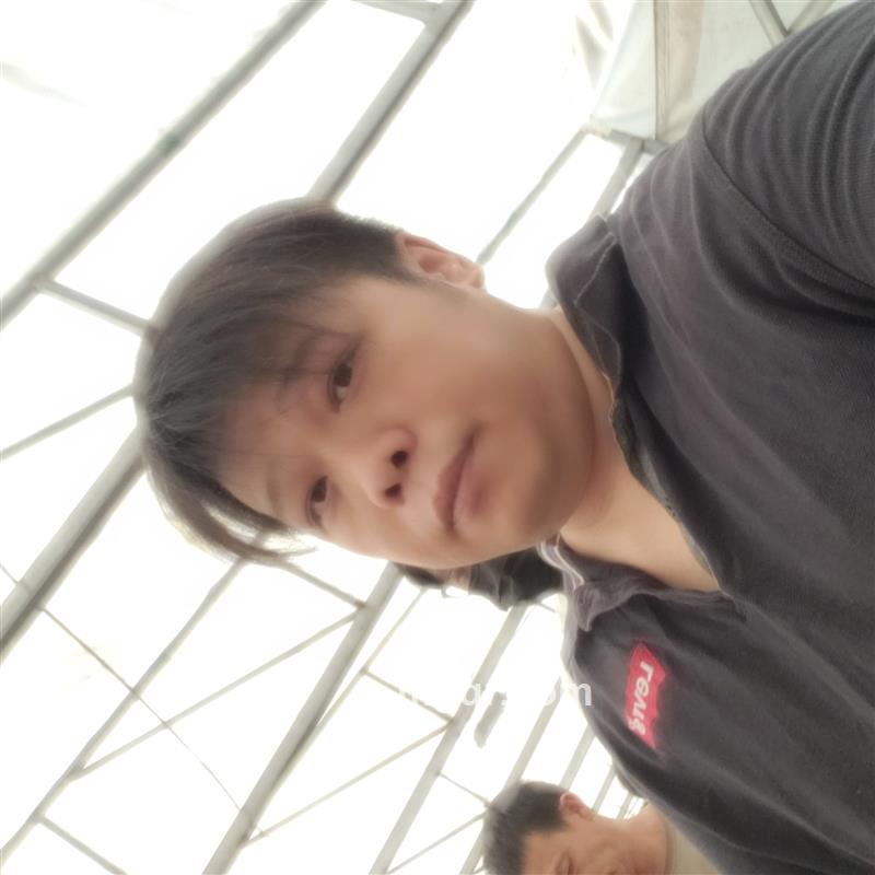 会员5395173的头像