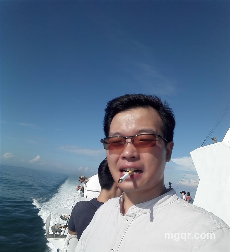 会飞的狼的头像