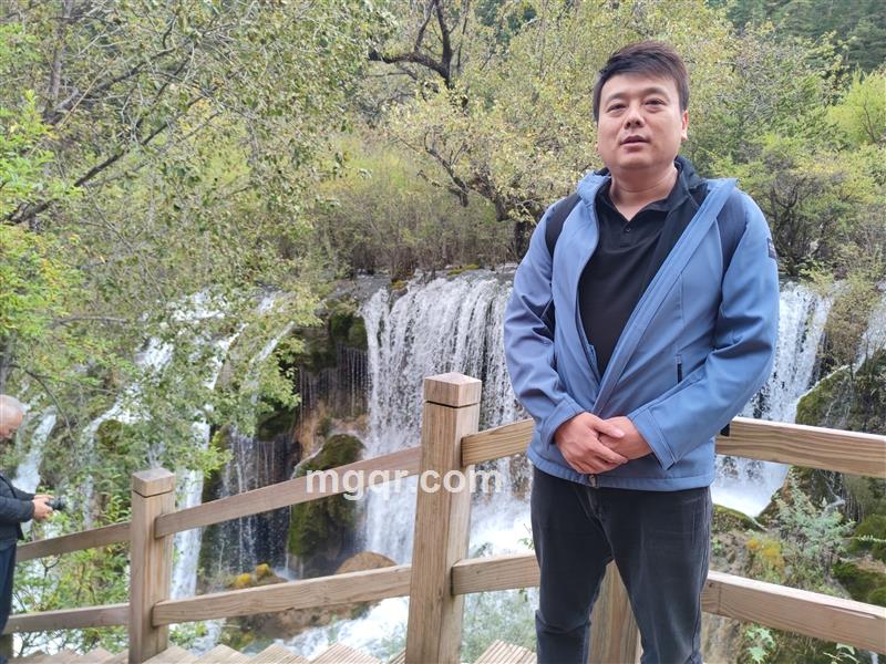 热带雨林的头像