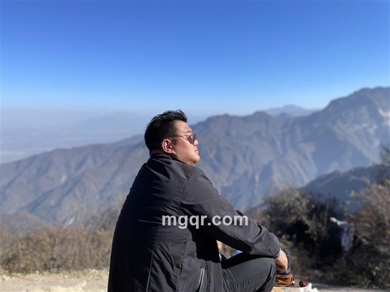 秘密武器的头像