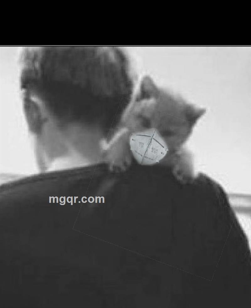 浅忆淡殇的头像