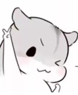 会员5406531的头像