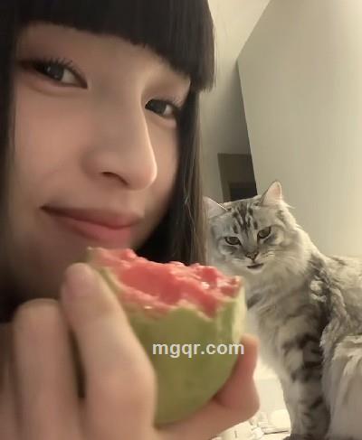 特别观星的头像