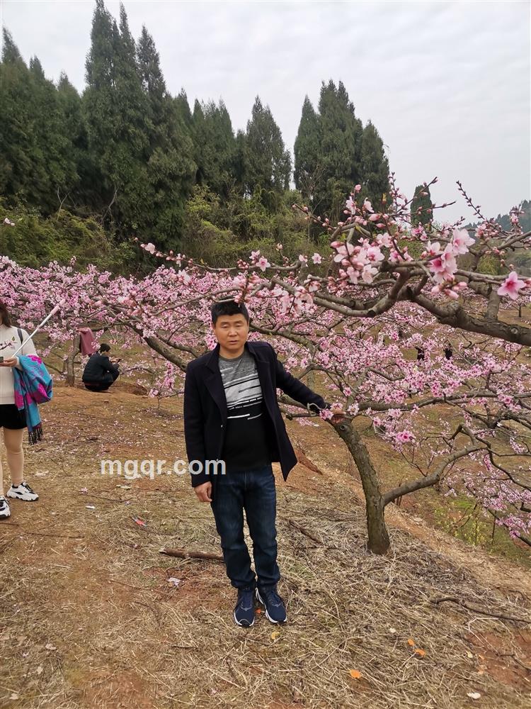 清风明月的头像