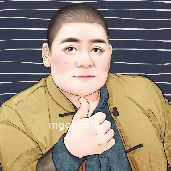 低调的华丽的头像