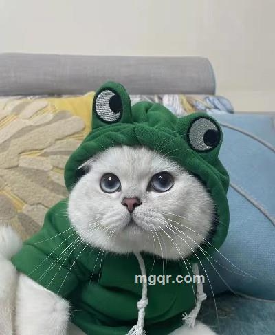 会员5416916的头像