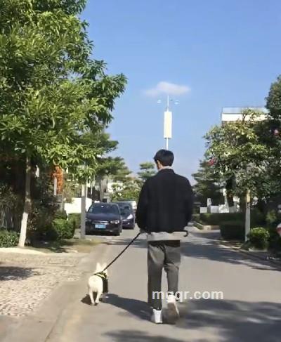 萝柚的头像