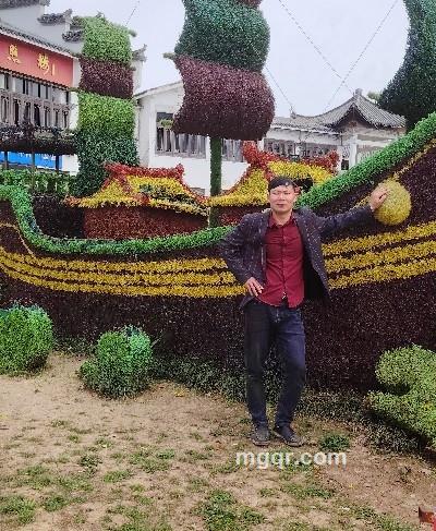 寻找真诚之人的头像