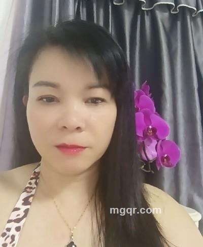 布吉玫瑰的头像