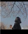 雪的头像