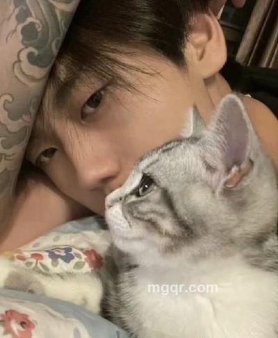 风继续吹的头像