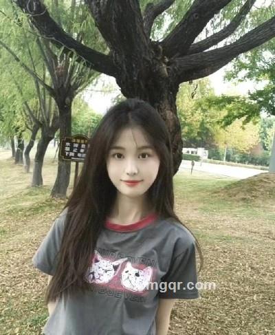 圆圆的头像