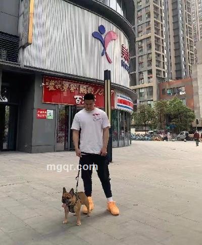 会员5399339的头像