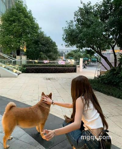 旺仔小馒头的头像